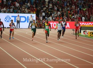 2015 World Championships, Wayde Van Niekerk, Kirani James