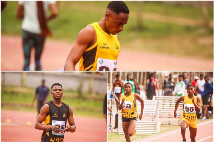 jpeg-optimizer_FotoGrid_20250805_072155297